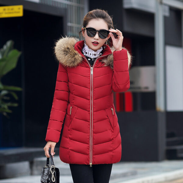 Mid-length Slim Cotton Jacket Large Fur Collar - Image 6